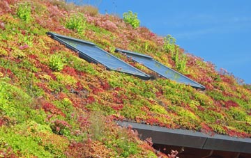 Coundon Grange living roof systems